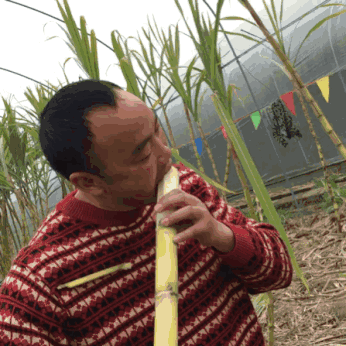 开云体育app动态:开云体育推出PG电子幸运抽奖活动,丰厚奖品等你来拿