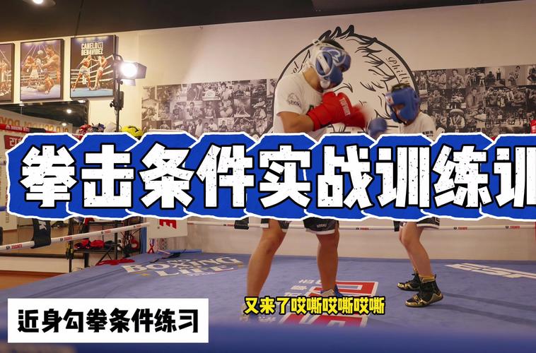 「开云体育app调查拳击等级考核难度:在职业体系下,通过资质考试远比想象中更具挑战」