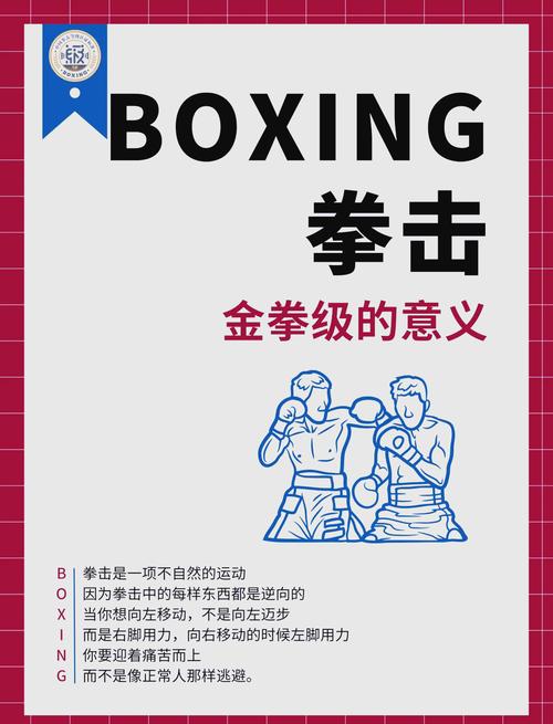 「开云体育app调查拳击等级考核难度:在职业体系下,通过资质考试远比想象中更具挑战」