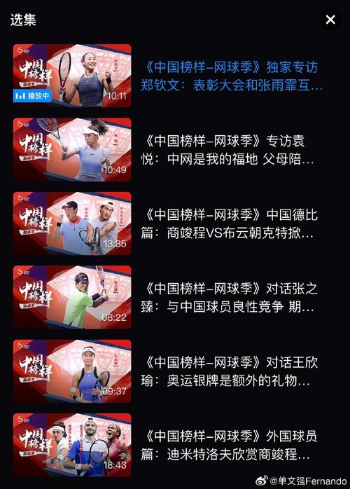 B体育在开云体育app聚焦网球四大满贯:德约科维奇求大满贯数量新高,年轻对手如何争夺话语权?